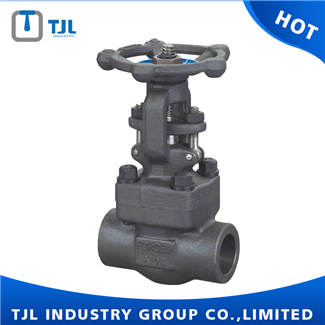 Forged Steel Gate Valve With Socket End