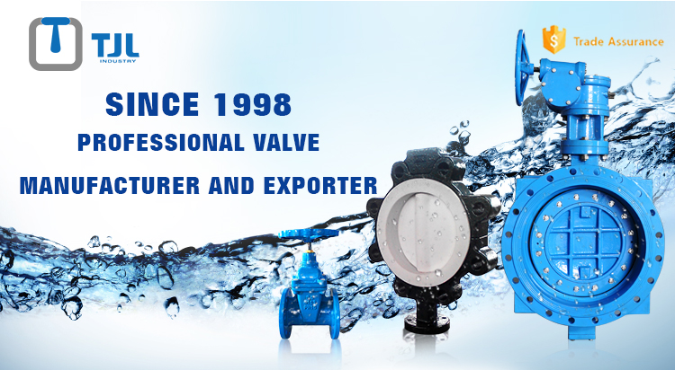 The difference between the Soft Seal Butterfly Valve and Hard Seal Butterfly Valve