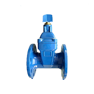 Gate Valve