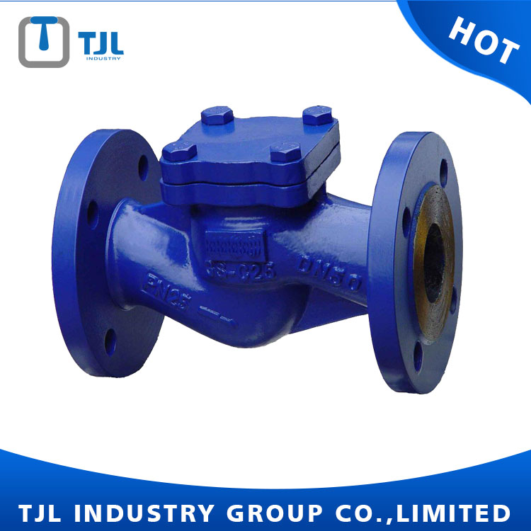 INTRODUCTION OF SWING-FLEX CHECK VALVE