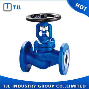 DIN 4 Inch Bellows Globe Valve