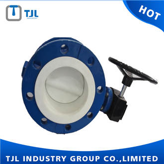Full Lining PTFE Double Flange Center Line Butterfly Valve DN100 With Worm Gear