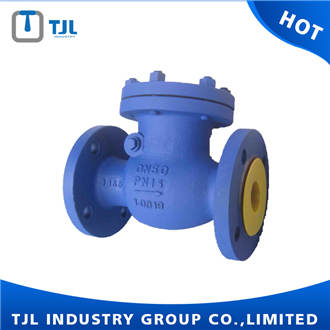 DIN Cast Steel Check Valve