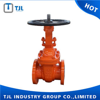 Rising Stem Stainless Steel Gate Valve