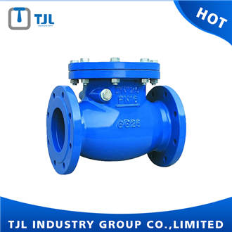 F6 Cast Iron Swing Check Valve