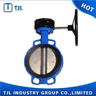 Resilient Seat Butterfly Valve With Worm Gear