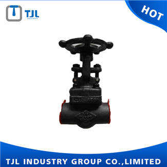Forged Type Gate Valves With Flange