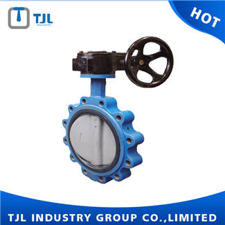 Lug Type DIN Standard Types Of Butterfly Valves Worm Gear