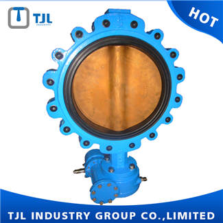 Lug Type ANSI Split Butterfly Valve With Worm Gear