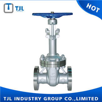 Rising Stem ANSI Stainless Steel Gate Valves