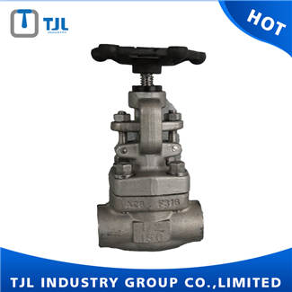 Forged Globe Valve CF8