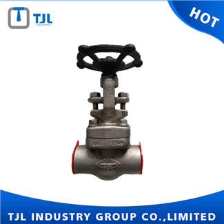 Stainless Steel Forged Gate Valve
