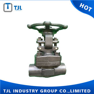 Forged Steel Gate Valve With Threaded Connection