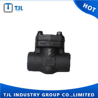 Forged Steel Check Valve