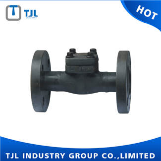 Forged Flange Lift Check Valve
