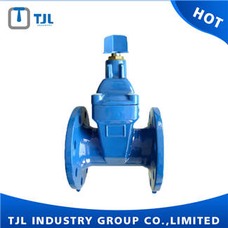 Square Head Resilient Gate Valve PN16