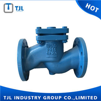 Cast Iron DIN Lift Check Valve DN80