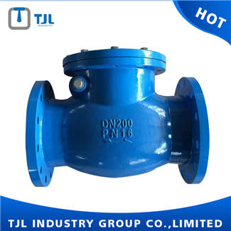 Cast Iron Swing Check Valve