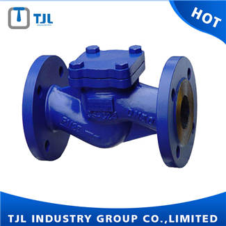 WCB DIN DN150 Lift Check Valve