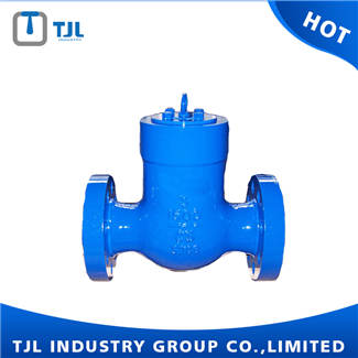 ANSI Class 1500 WCB Swing Check Valve