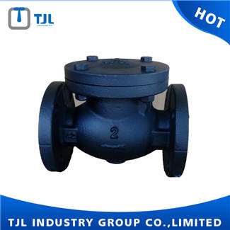 API 6D DN100 Swing Check Valve