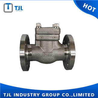 Forged Steel Flanged Swing Check Valve