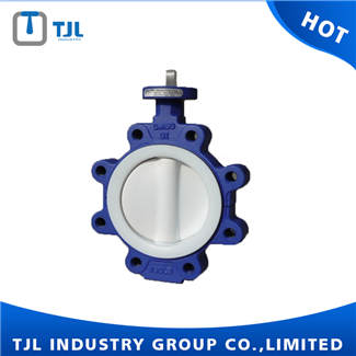 Lug Butterfly Valve PTFE Seated With Worm Gear