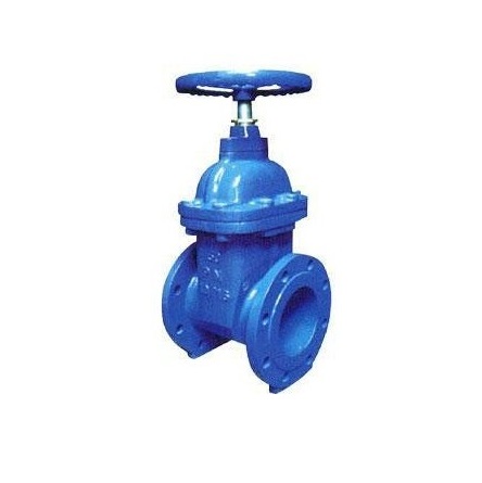 Gate valve characteristics