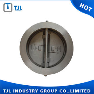 Stainless Steel Check Valve