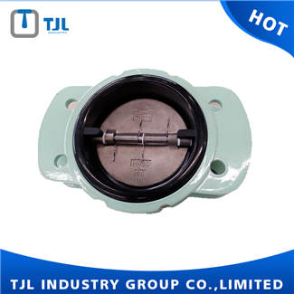 Double Plate Rubber Check Valve