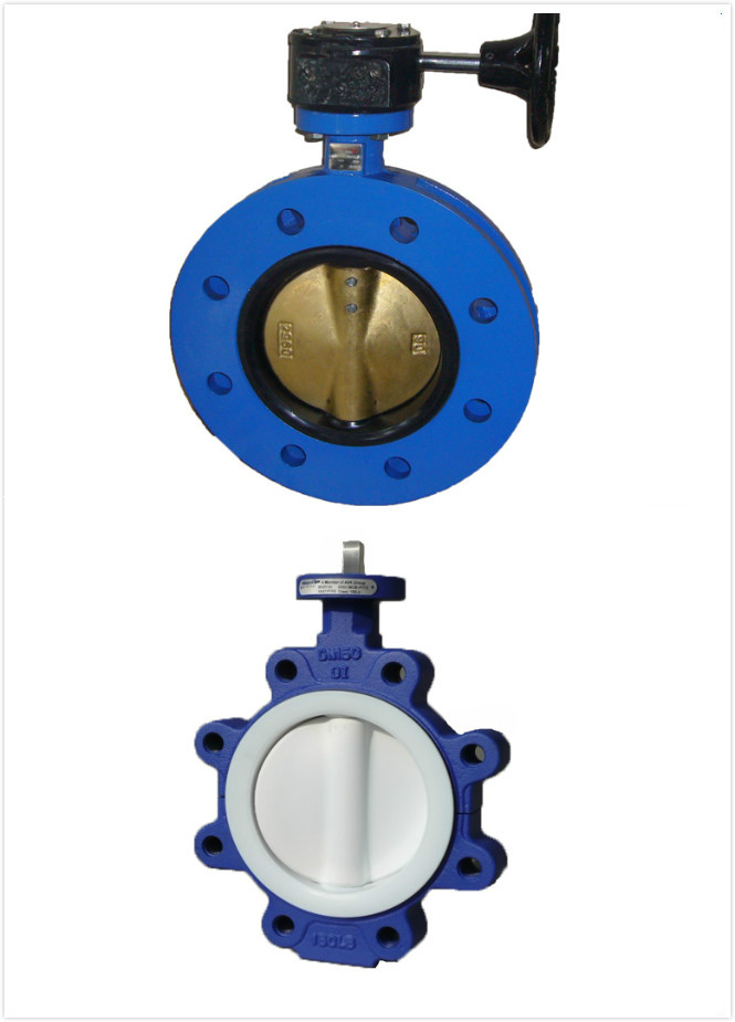Lug And Wafer Butterfly Valves