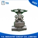 China Gate Valve -Forged Steel Gate Valve