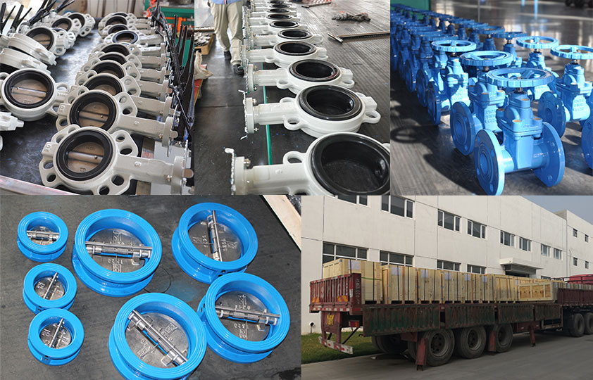 Orders for butterfly valves, gate valves and check valves from the Philippines